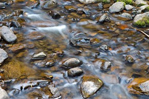 Les eaux minérales et de source sont naturellement potables