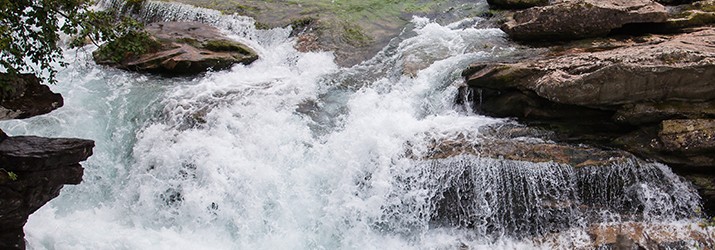 Pourquoi l'eau est source de vie