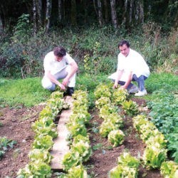 Potager bio eau minérale Velleminfroy