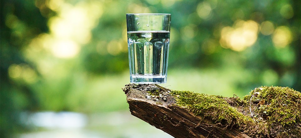 L’eau minérale de Velleminfroy contient zéro nitrate.