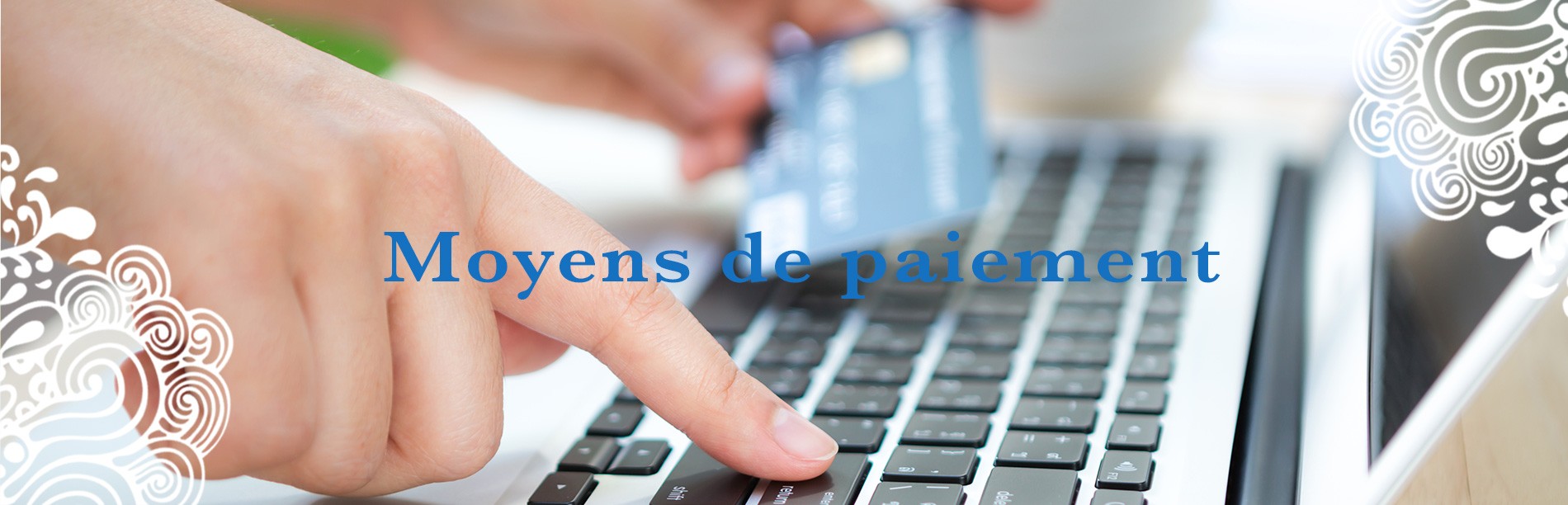 Paiement sécurisé, moyens de paiement