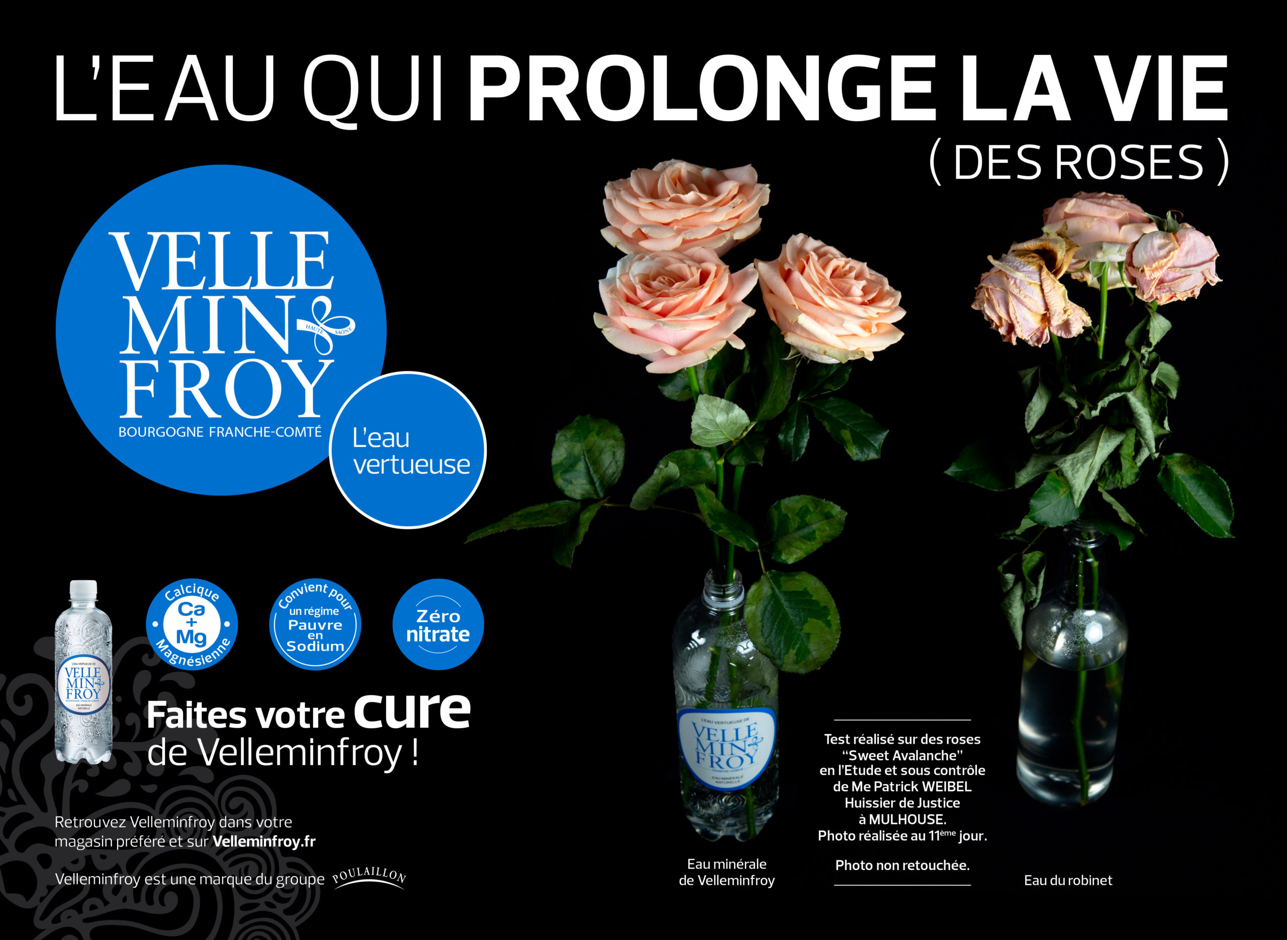 L'eau qui prolonge la vie des roses